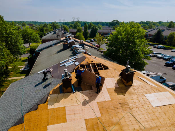 Best Local Roofing Companies  in Morgandale, OH