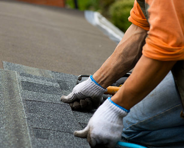 Best Roof Restoration Services  in Morgandale, OH