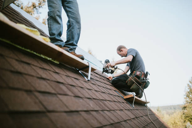 Best Roof Repair Services  in Morgandale, OH